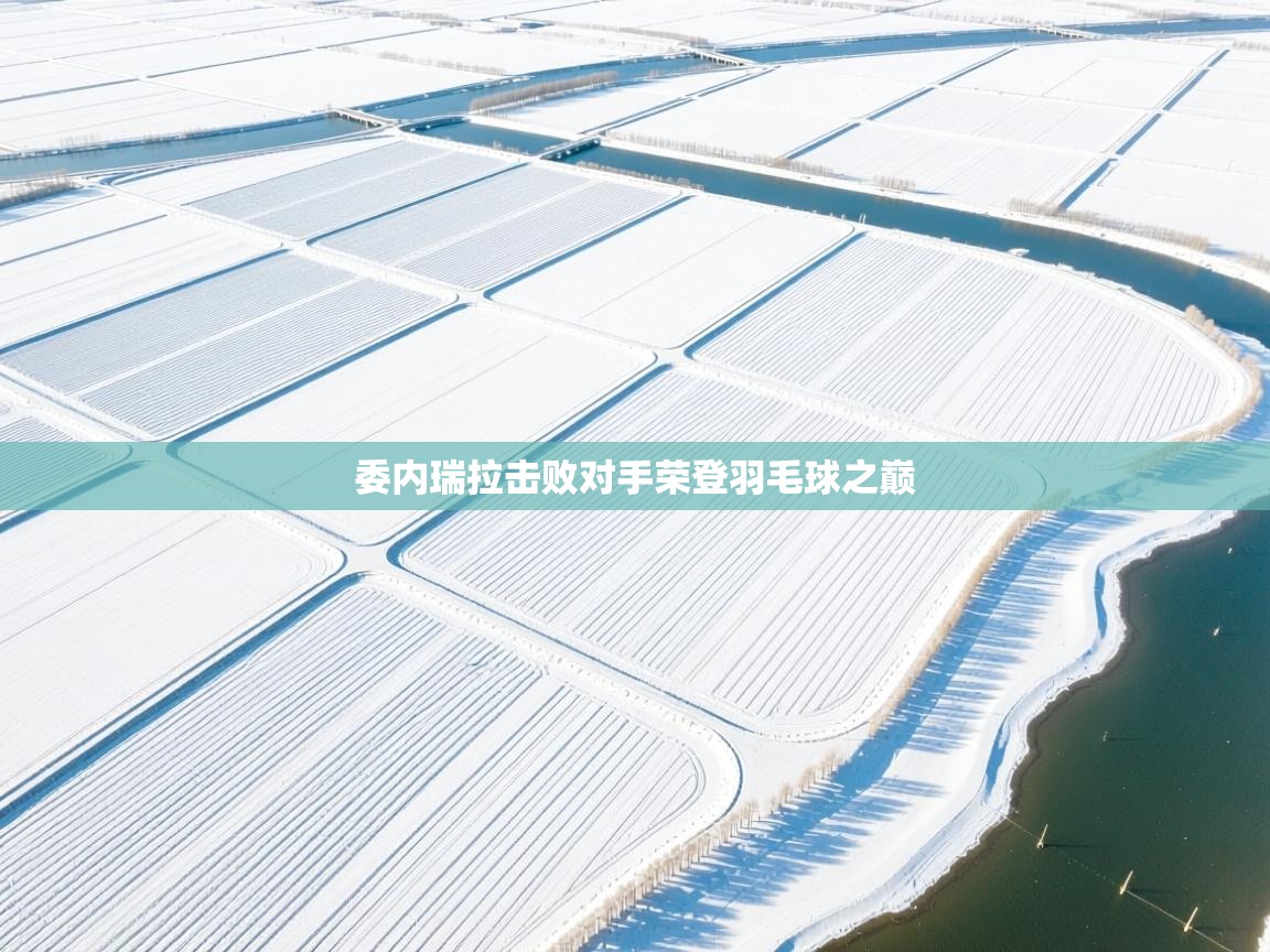 委内瑞拉击败对手荣登羽毛球之巅  第1张