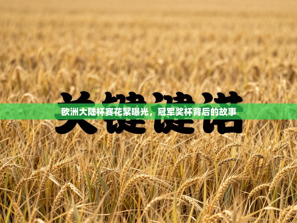 欧洲大陆杯赛花絮曝光,冠军奖杯背后的故事 第2张